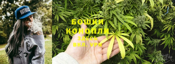 PSILOCYBIN Красноперекопск