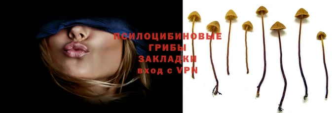 стаф Краснотурьинск